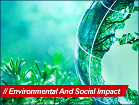 Environmental and Social Impact